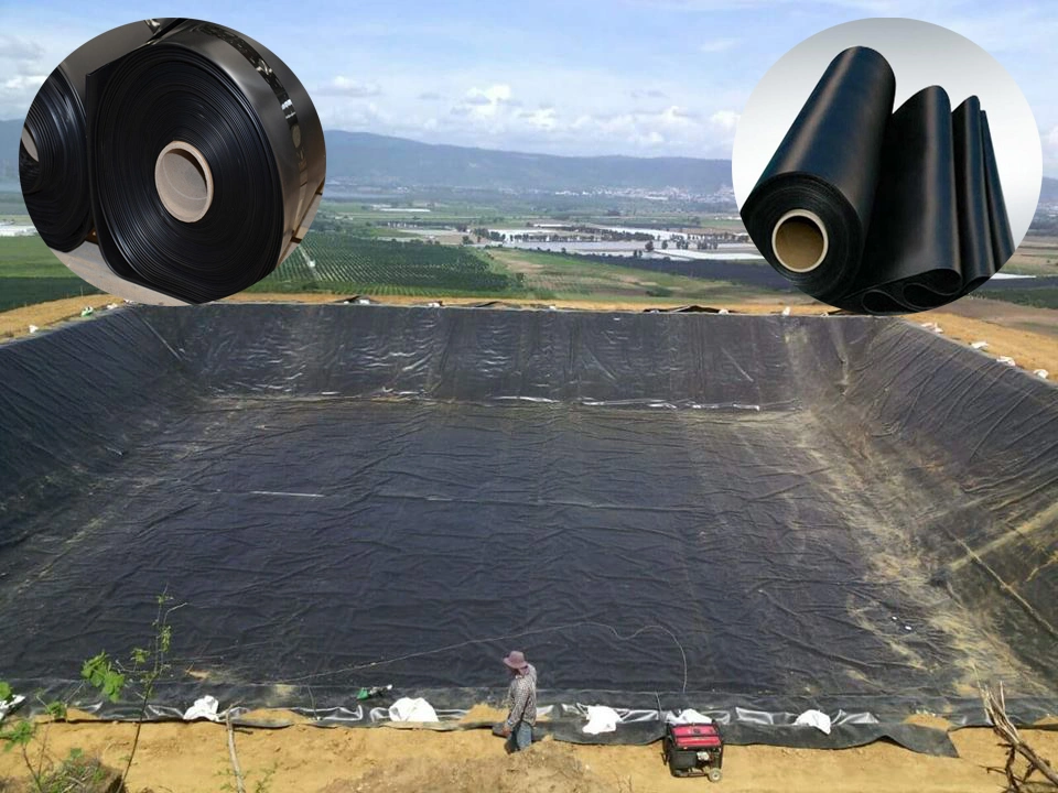 Water-Proof Plastic LDPE/LLDPE/PVC/HDPE Geomembrane for Prawn Pond Liner Factory Price