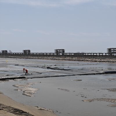 नगरपालिका कीचड़ उपचार परियोजनाओं के लिए उच्च पारगम्यता वाले भू-उत्पाद निर्जलीकरण ट्यूब