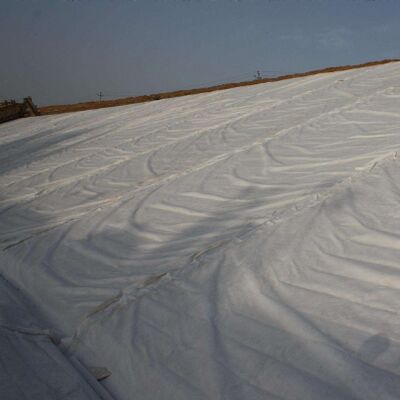 पॉलिएस्टर लघु फाइबर सुई छिद्रित गैर बुना जियोटेक्सटाइल फुटपाथ सुदृढीकरण के लिए